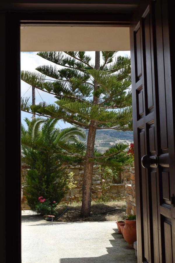 Tranquil Apartments Agios Thaleleos Eksteriør bilde